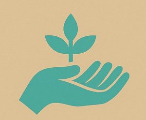The Symbol of Ysandra
